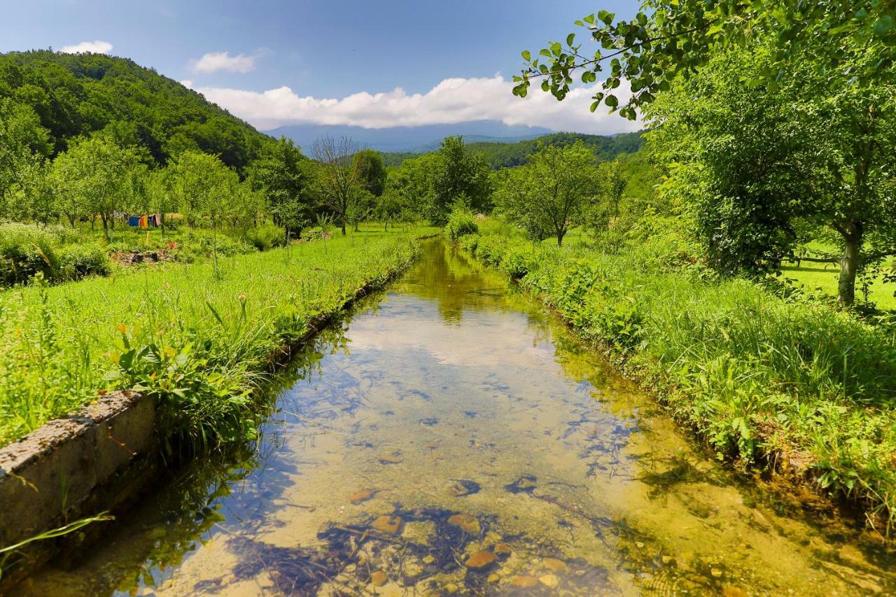 Holiday Home Villa Sara Bihac Ngoại thất bức ảnh